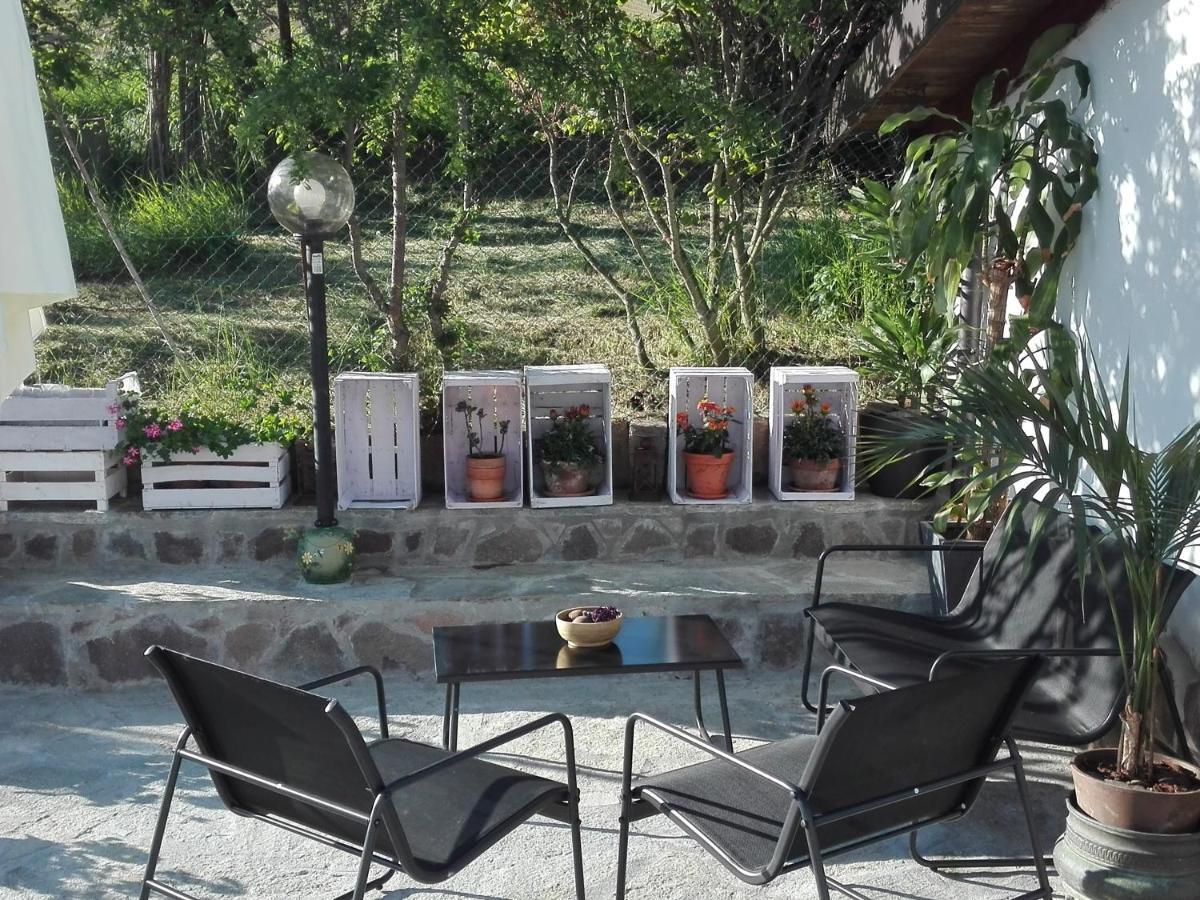 Apartament La Casa Nel Sole Alessandria Zewnętrze zdjęcie