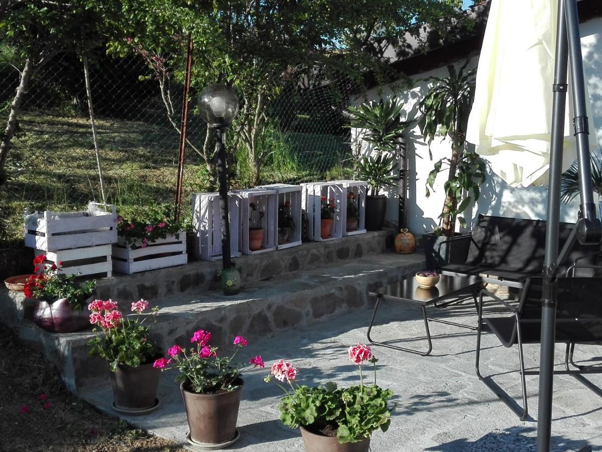 Apartament La Casa Nel Sole Alessandria Zewnętrze zdjęcie